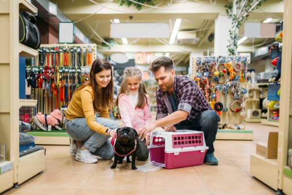 5 Tips and Tricks for Bonding with Your Dog