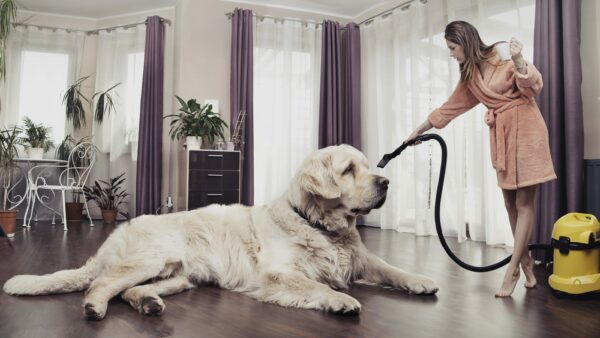 Tips for Maintaining a Clean Home with Pets