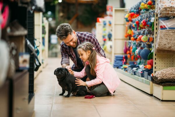 3 Qualities of a Great Pet Store