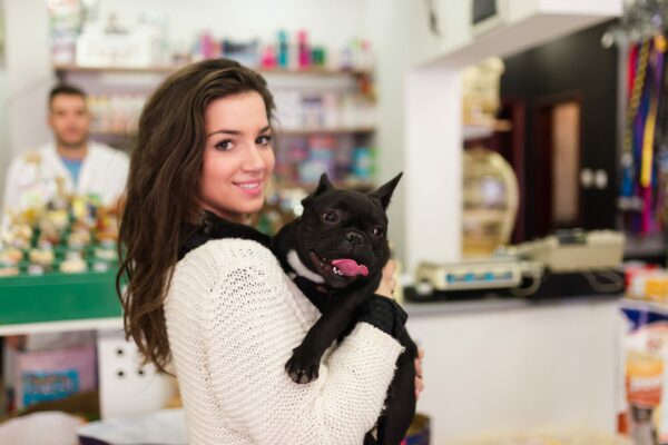 3 Considerations to Make Before Buying a pet