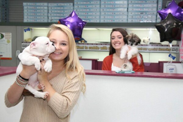 Petland Kennesaw’s Top 6 New Year’s Resolutions for Your Pet