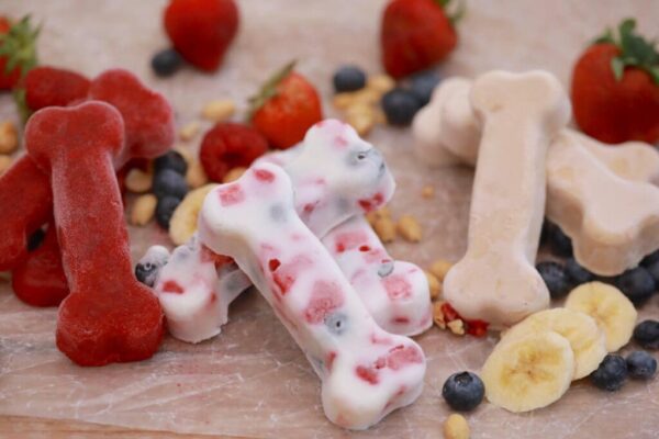 3 Homemade Frozen Dog Treats
