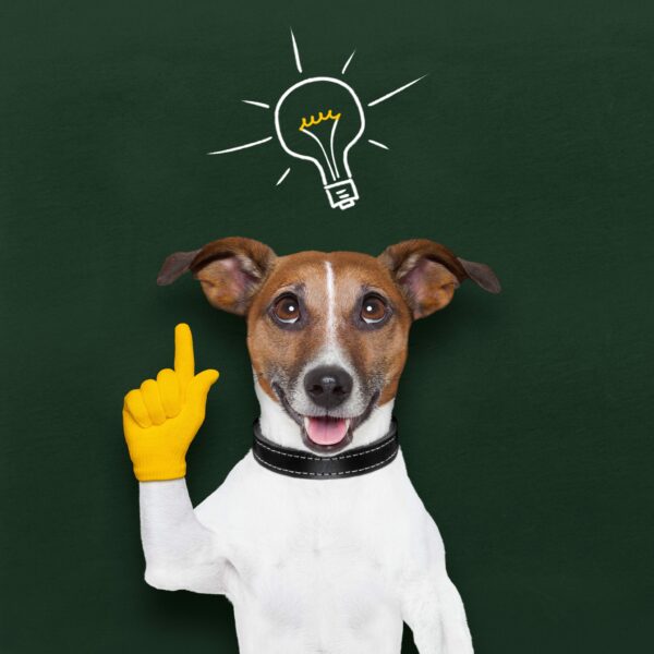 Got Questions? We’ve Got Answers!