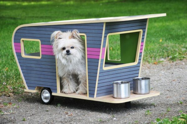 4 Must Do’s While Traveling in an RV with Your Pet