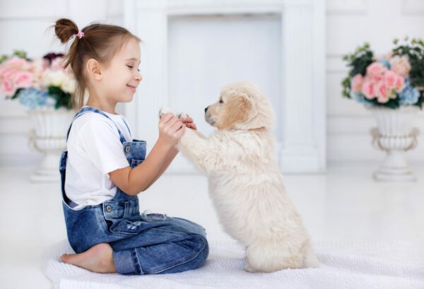 Petland celebrates more than 350 Wishes Granted through Make-A-Wish®