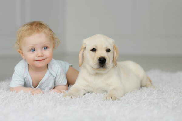 Dogs and Newborns: This Is How to Introduce a Dog to Your Baby