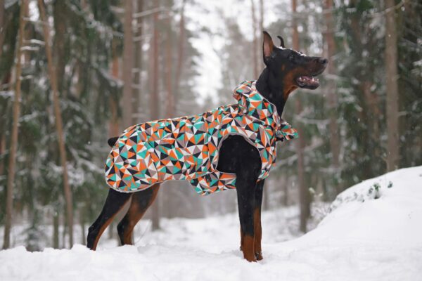 The Best Winter Coats/Sweaters For Large Dogs (And A Couple For New Puppies Too!)