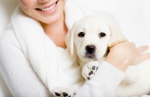 Best Breeds for Mother’s Day