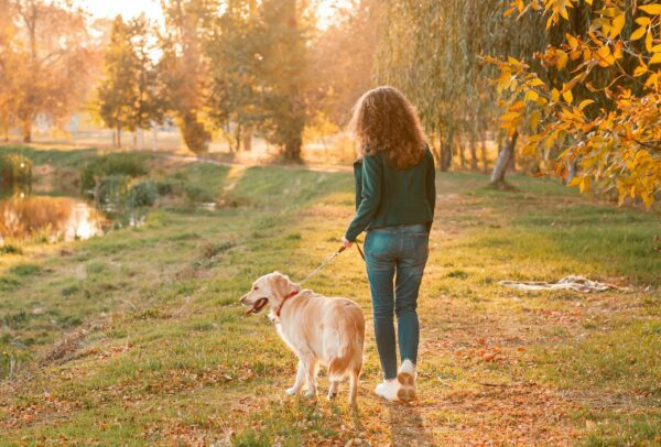 Must-Know Autumn Safety Tips for Pet Parents