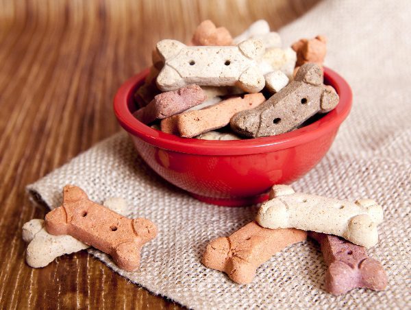 Diy best sale hamster treats