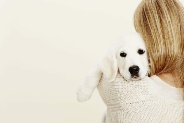 National Animal Safety & Protection Month