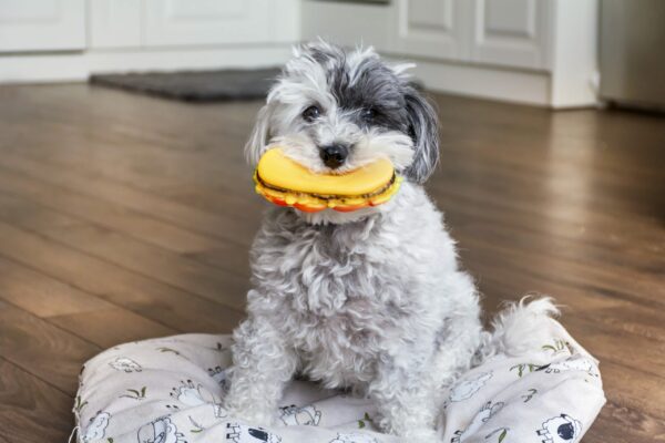 Recipes for Layering Stuffable Toys