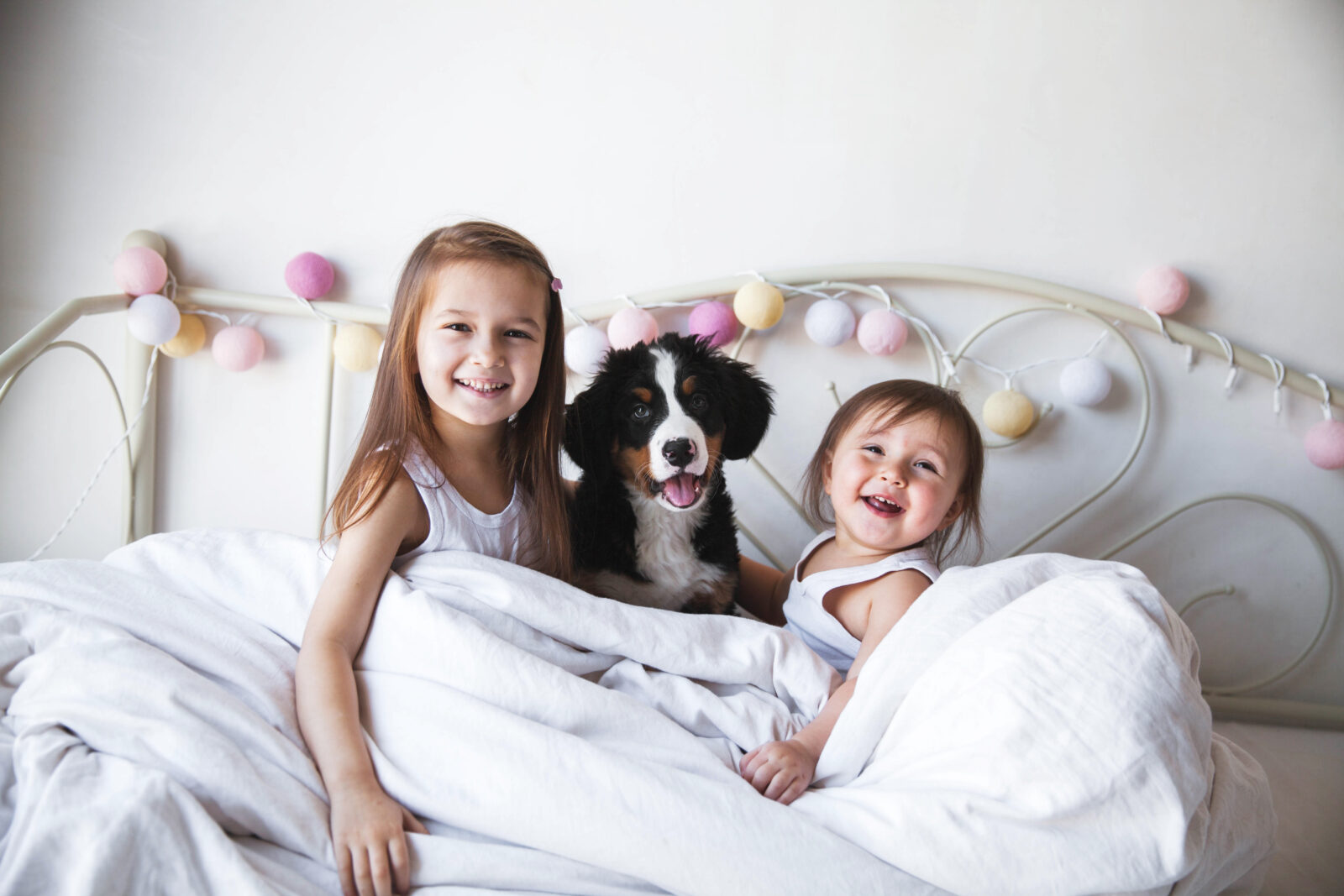 Your Journey to a Healthy, Happy Puppy Starts Here banner