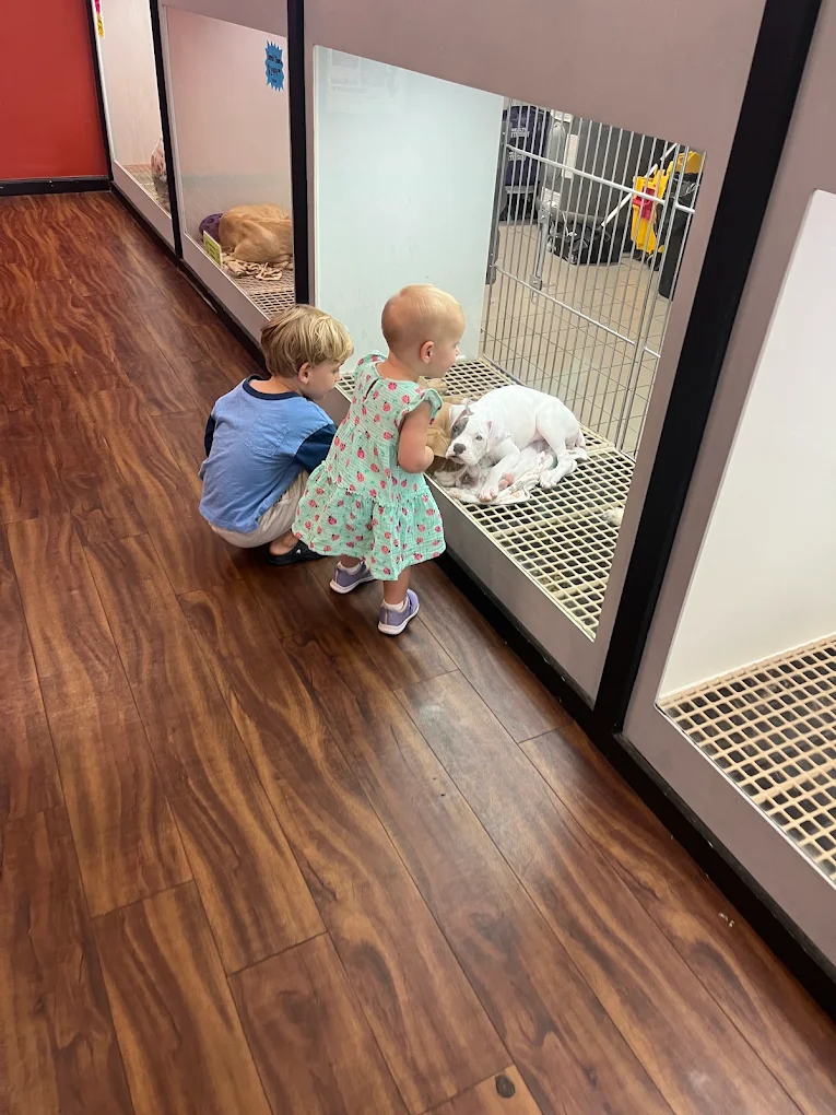 Children spending time with pets at Petland Kennesaw