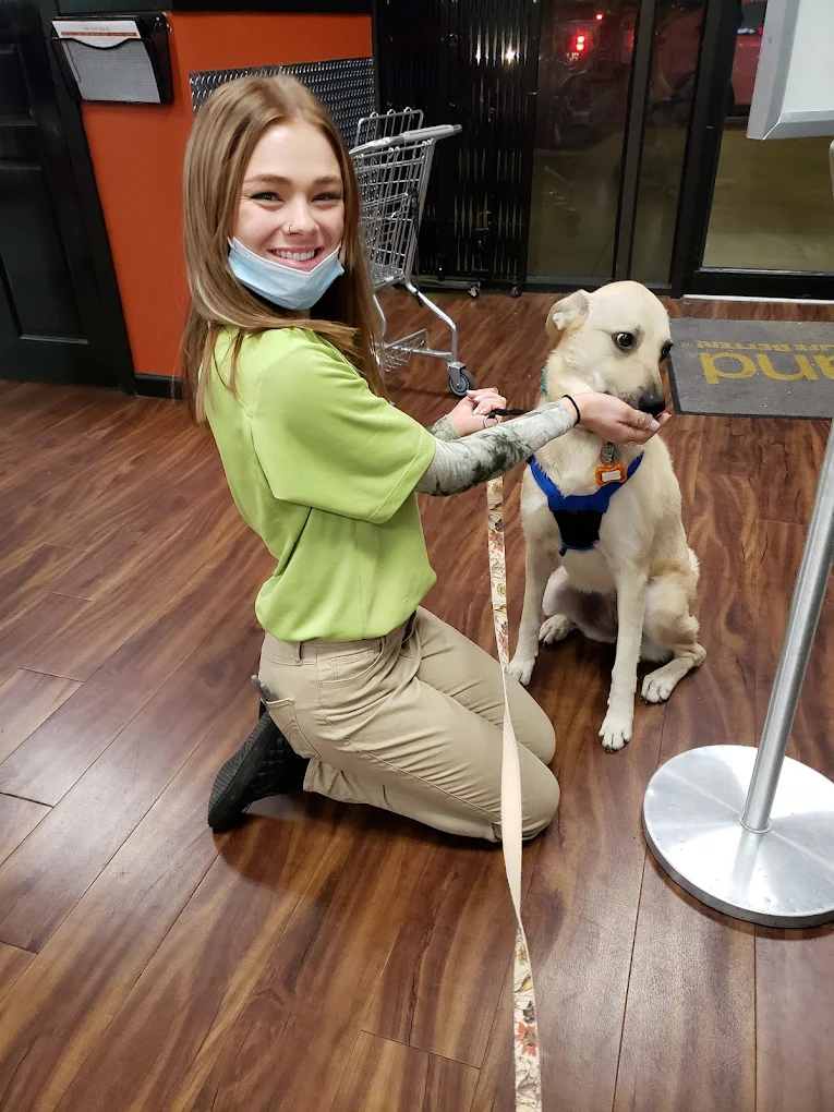 Pets at Petland Kennesaw